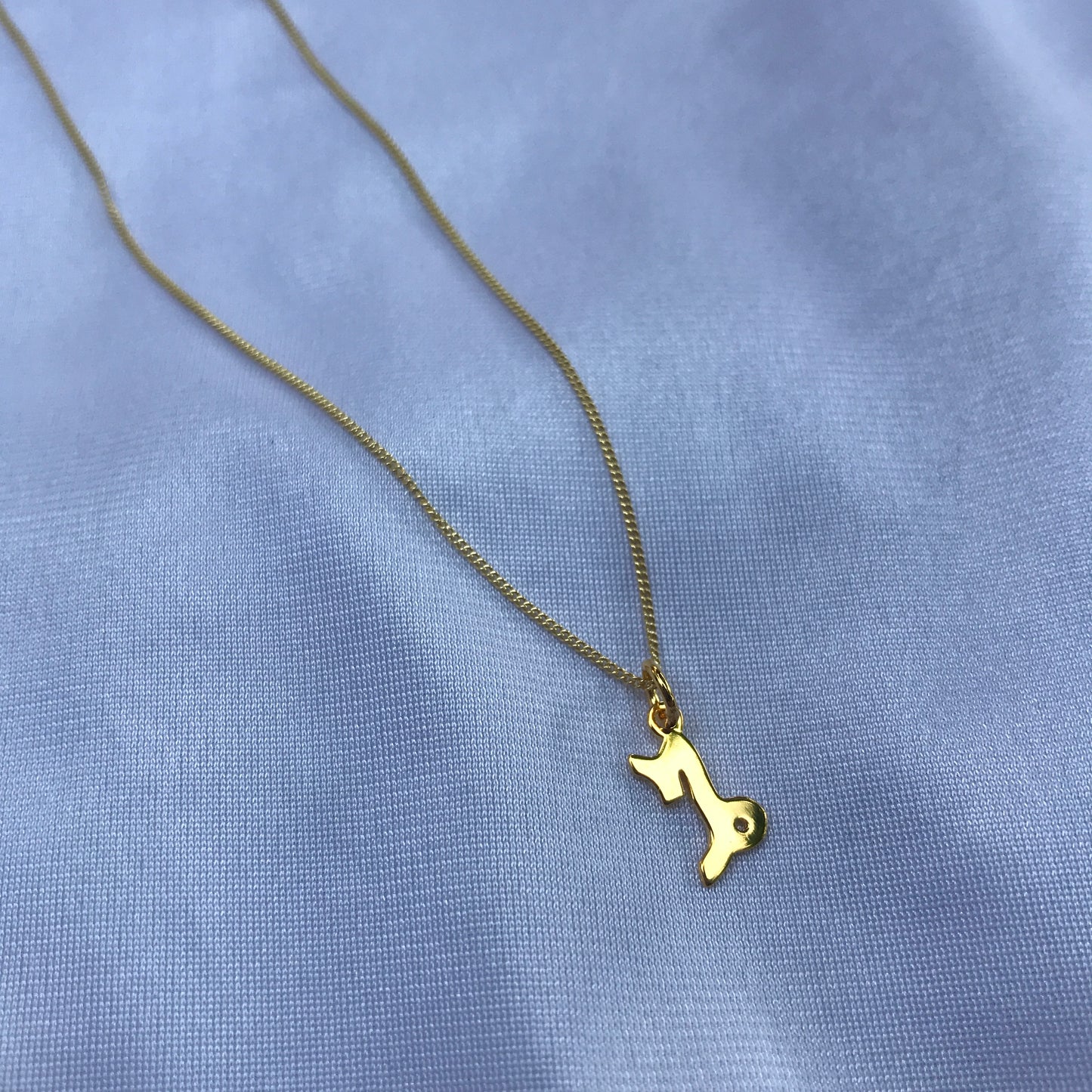 Capricorn In Gold