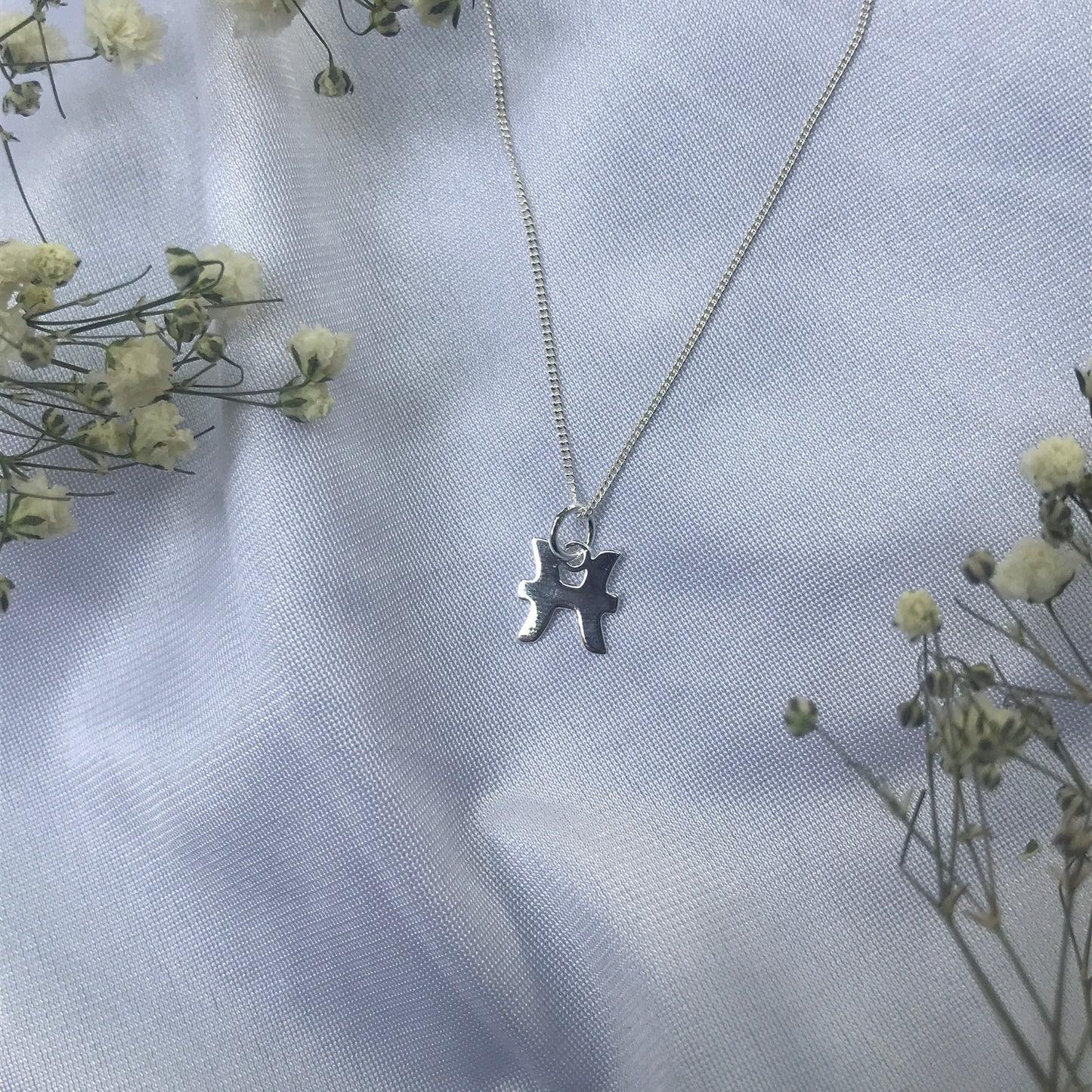 Pisces In Silver