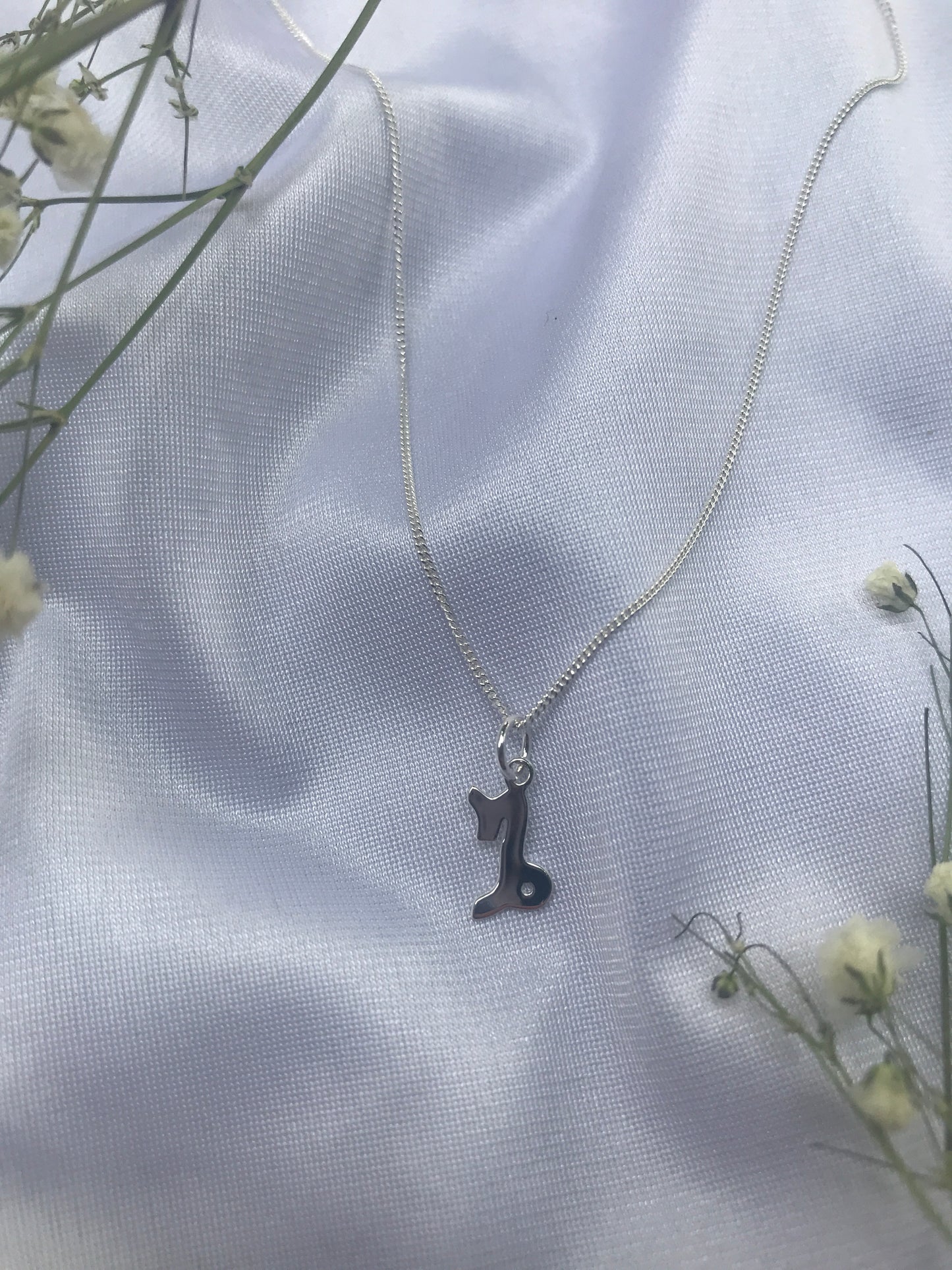 Capricorn In Silver
