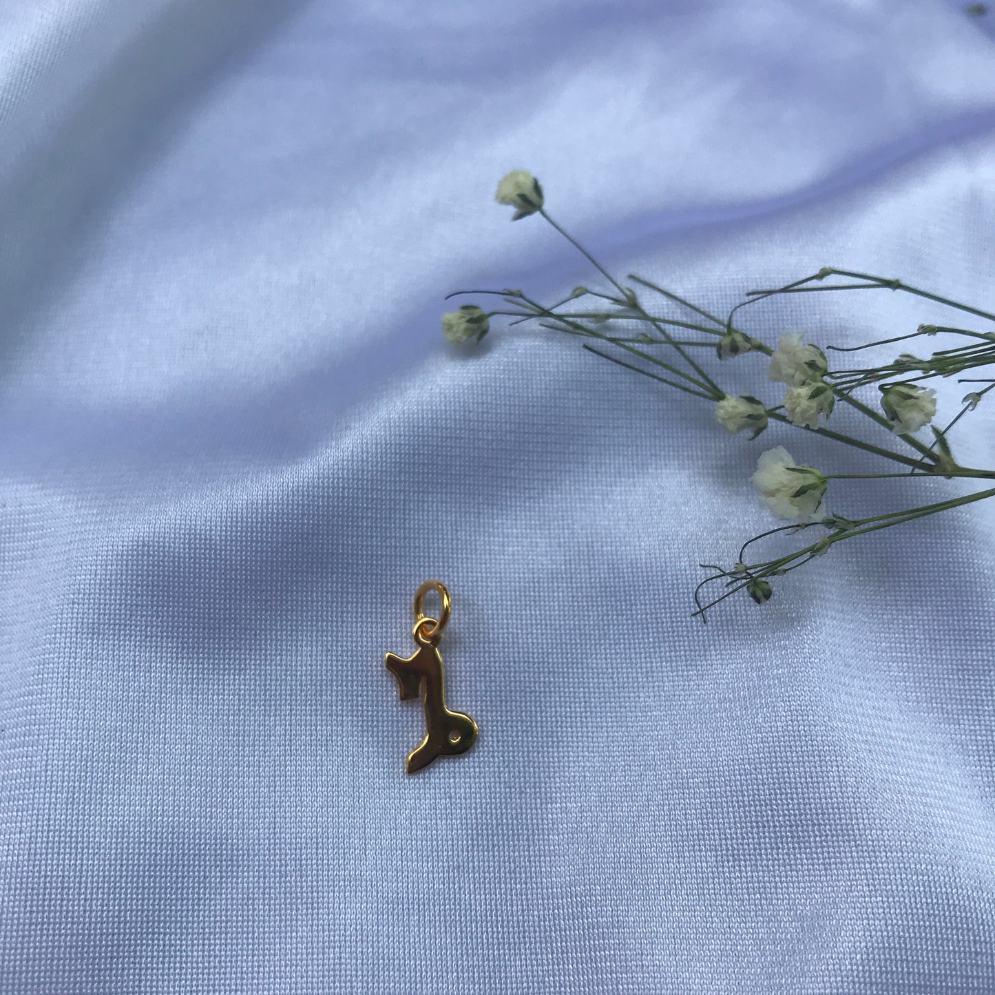 Capricorn In Gold