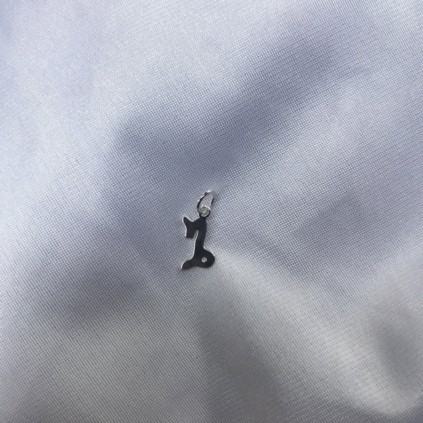 Capricorn In Silver