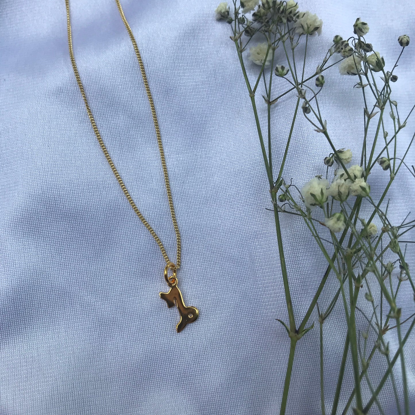 Capricorn In Gold