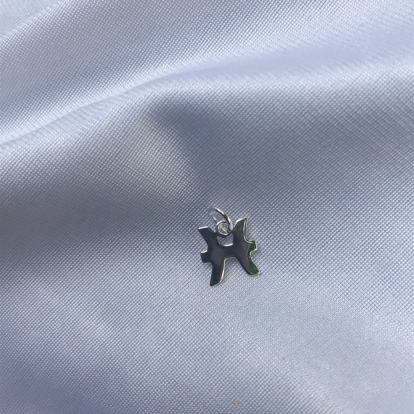 Pisces In Silver