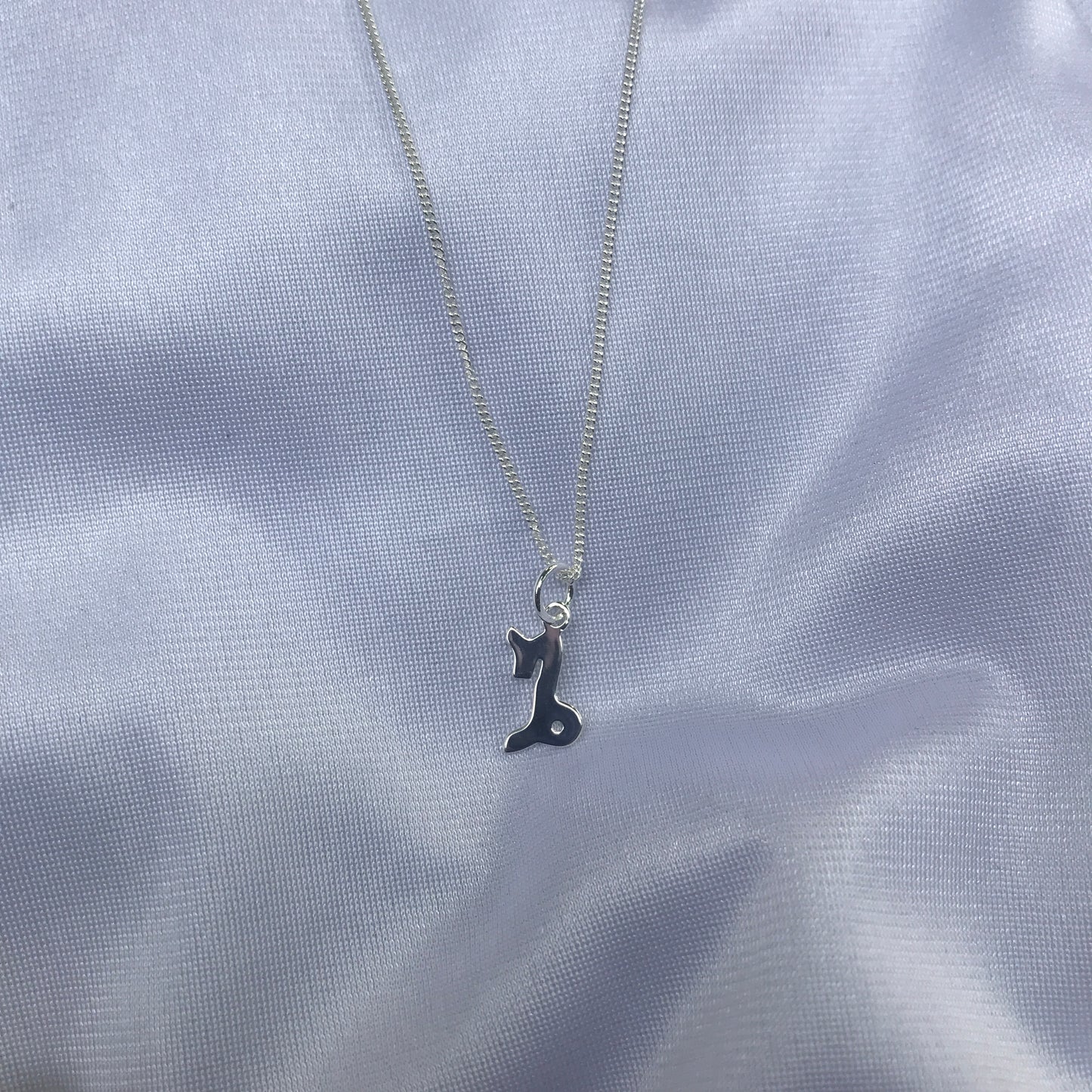Capricorn In Silver
