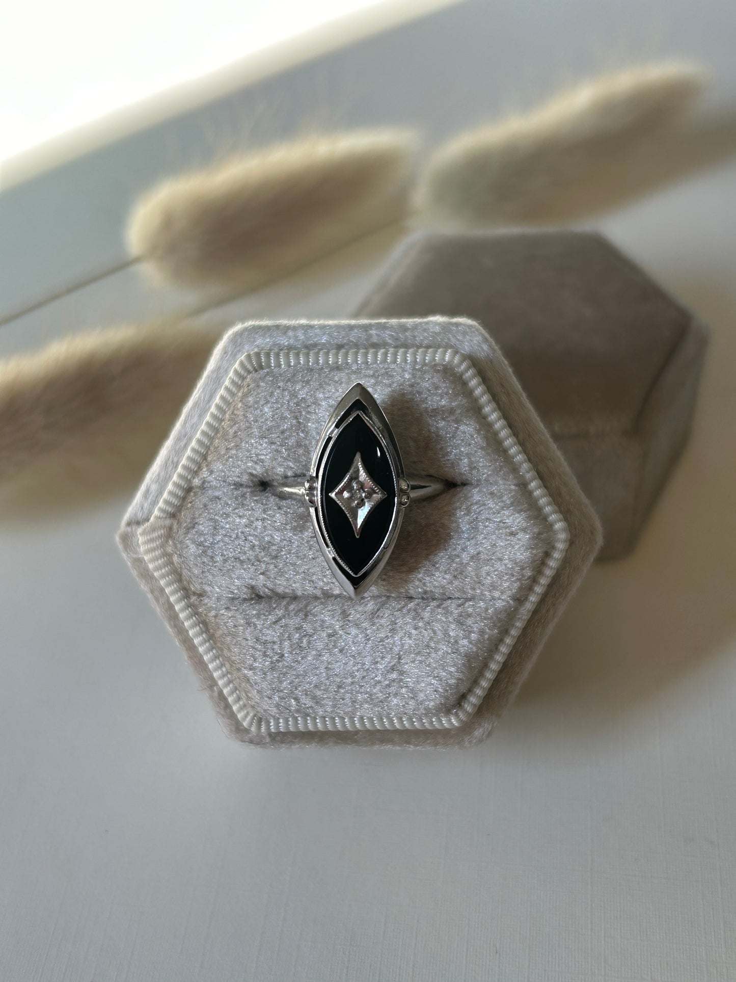 10K White Gold Onyx and Diamond Ring