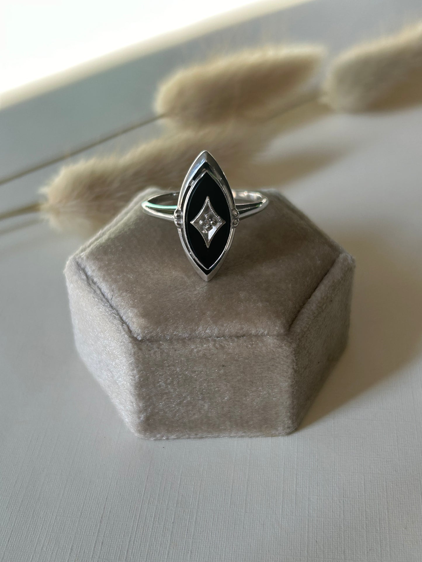 10K White Gold Onyx and Diamond Ring